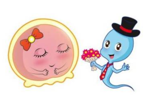 做試管嬰兒有哪些方面的花費(fèi)